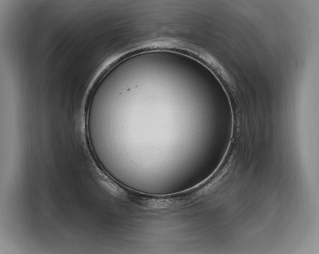 X0000108481232200904091431