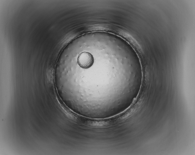 X0000108481233200904091431