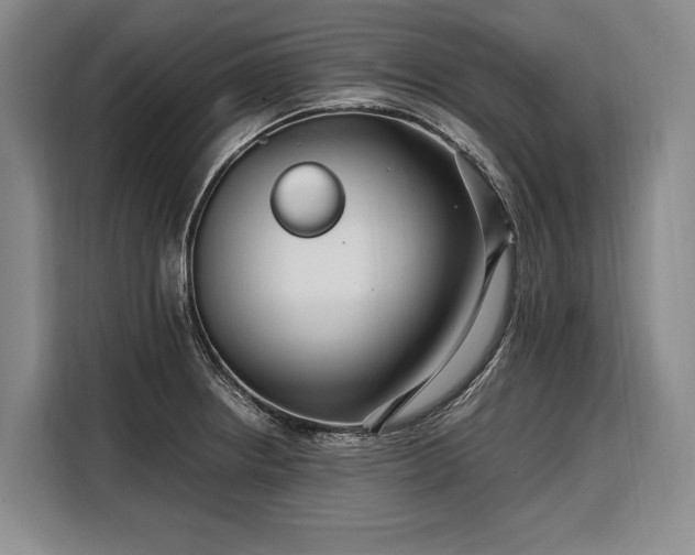 X0000108481234200904091431