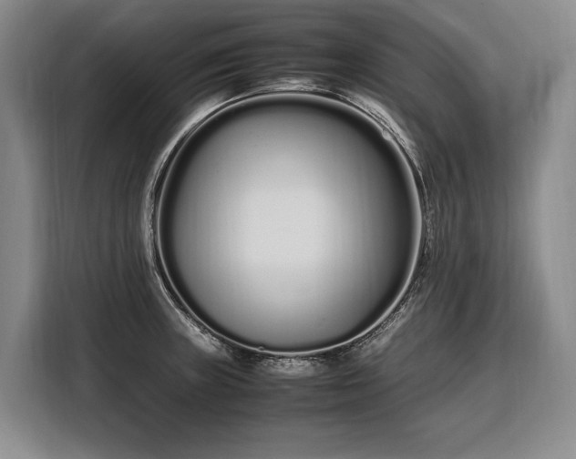 X0000108481235200904091431
