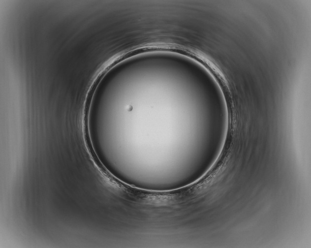 X0000108481237200904091431