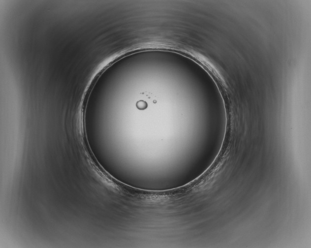 X0000108481238200904091431