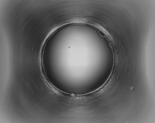 X0000108481240200904091431