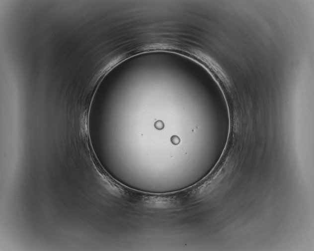 X0000108481241200904091431
