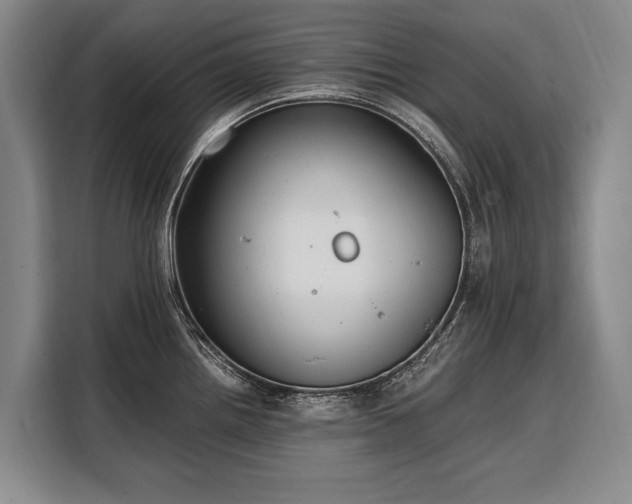 X0000108481242200904091431