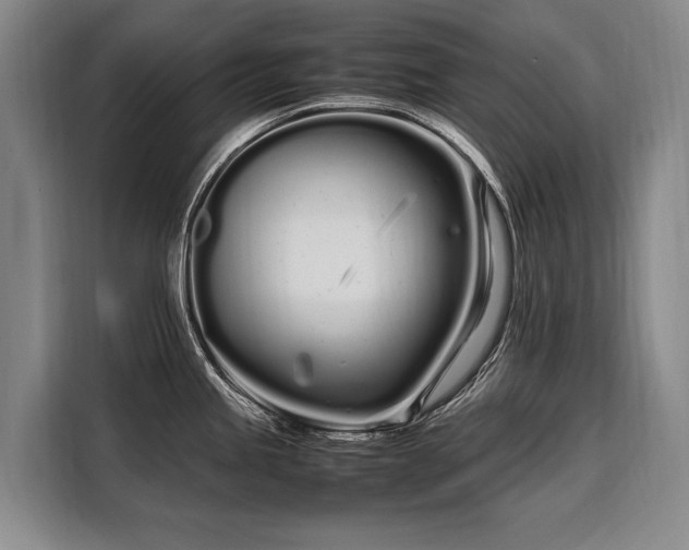 X0000108481245200904091431