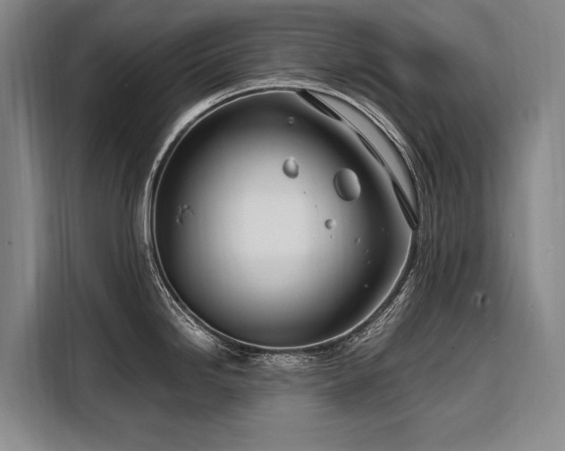 X0000108481246200904091431