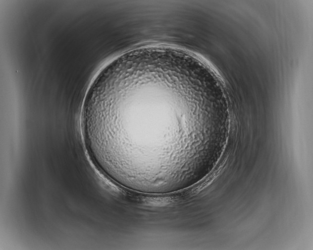 X0000108481247200904091431