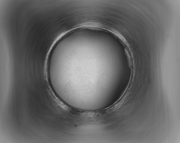 X0000108481248200904091431