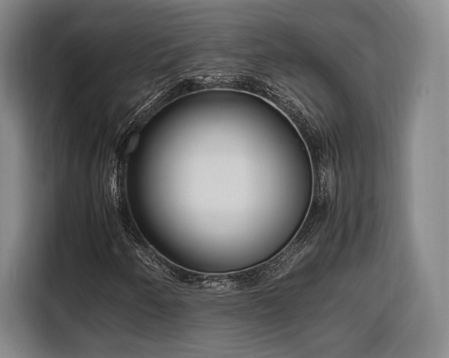 X0000108481250200904091430