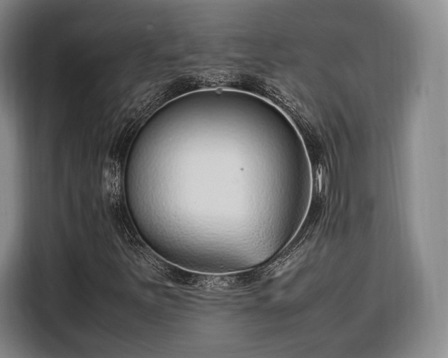 X0000108481251200904091430