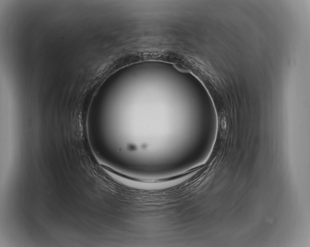 X0000108481252200904091430