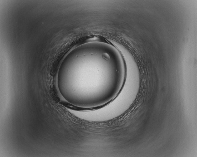 X0000108481253200904091430