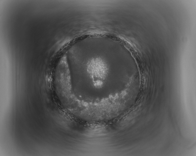 X0000108481254200904091430