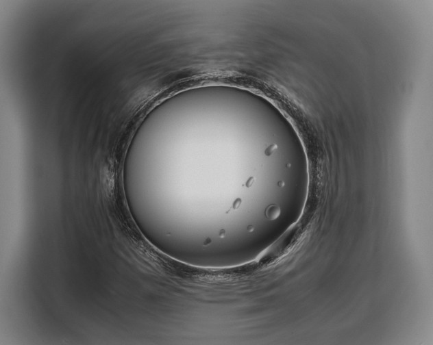 X0000108481257200904091430