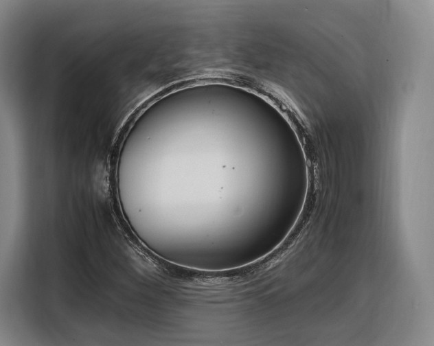X0000108481260200904091430