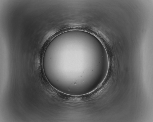 X0000108481261200904091430