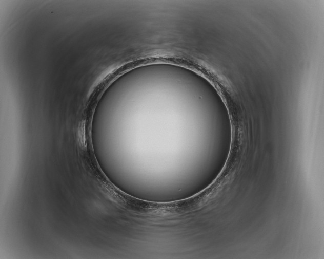 X0000108481262200904091430