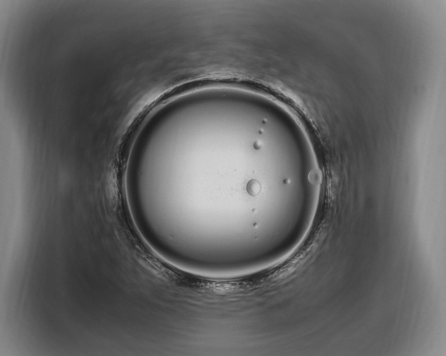 X0000108481263200904091430