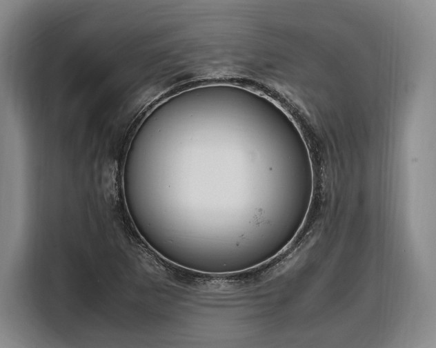 X0000108481265200904091430