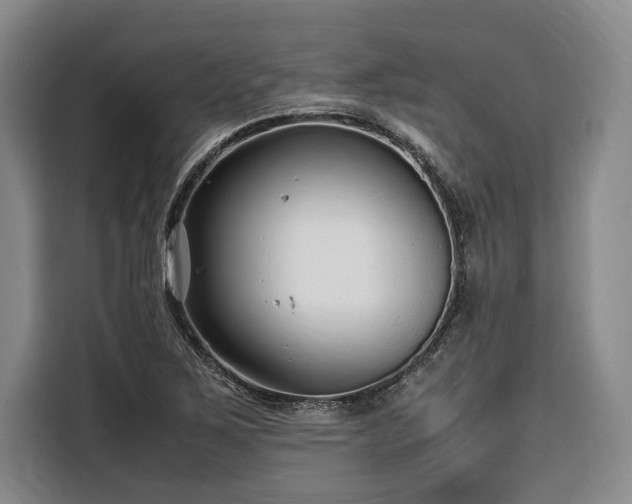 X0000108481267200904091430