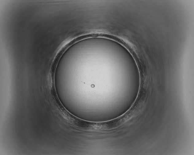 X0000108481271200904091430