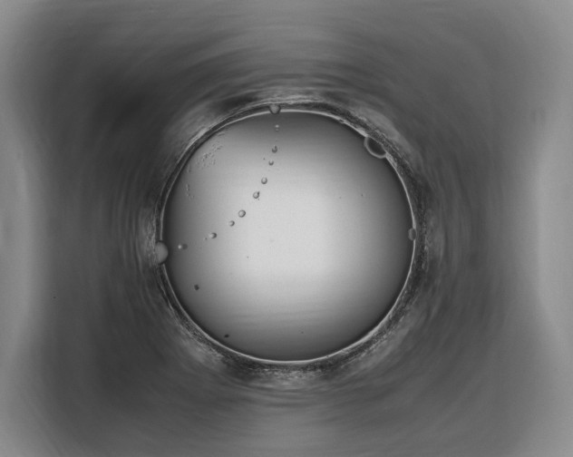 X0000108481273200904091430
