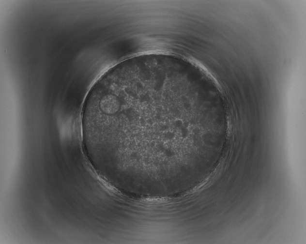 X0000108481274200904091430