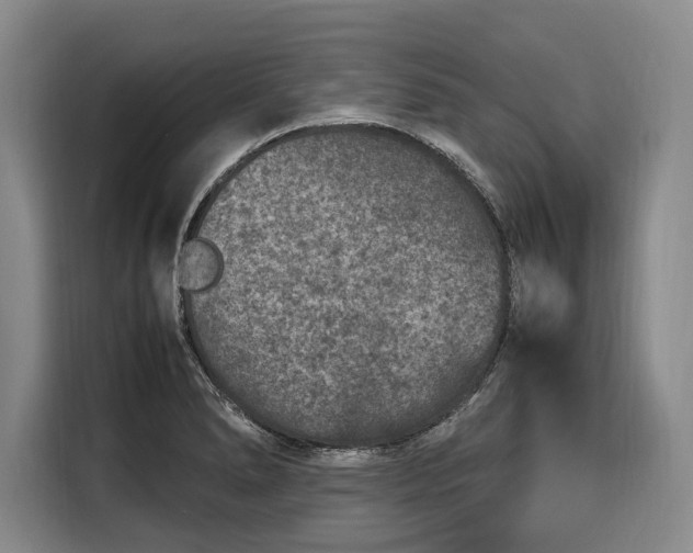 X0000108481278200904091430