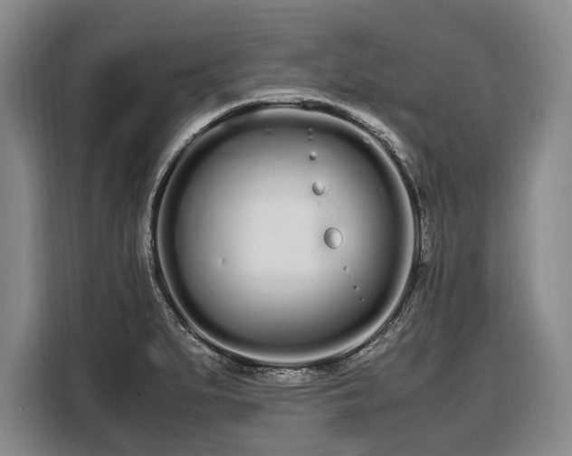 X0000108481279200904091430