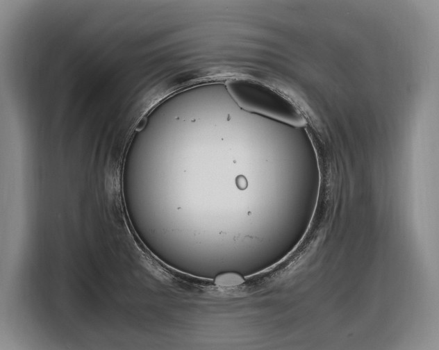 X0000108481281200904091430
