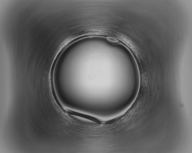 X0000108481283200904091430