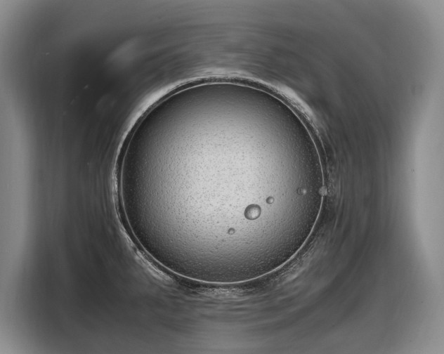 X0000108481287200904091430