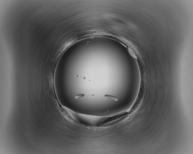 X0000108481289200904091430