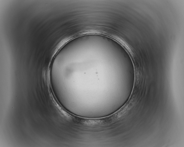 X0000108481290200904091430