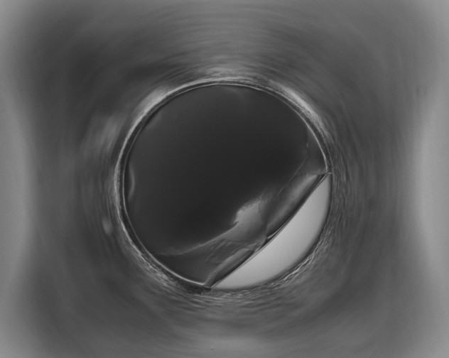 X0000108481291200904091430