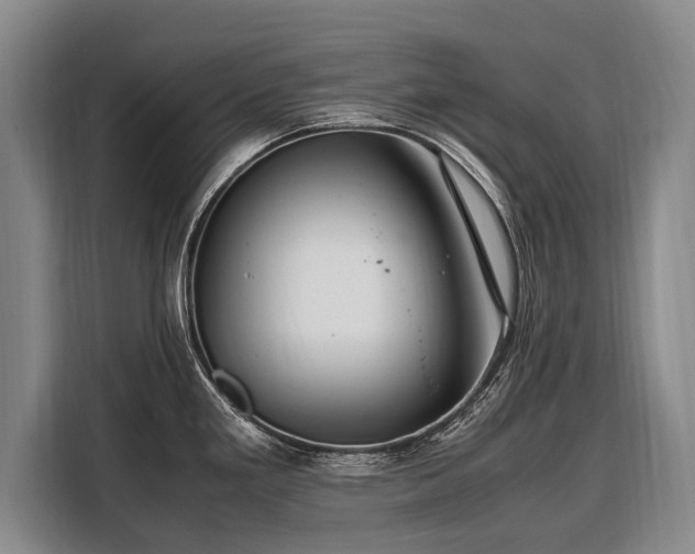 X0000108481293200904091430