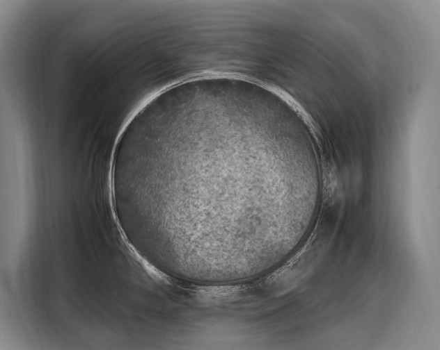 X0000108481294200904091430