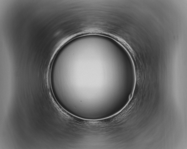 X0000108481295200904091430
