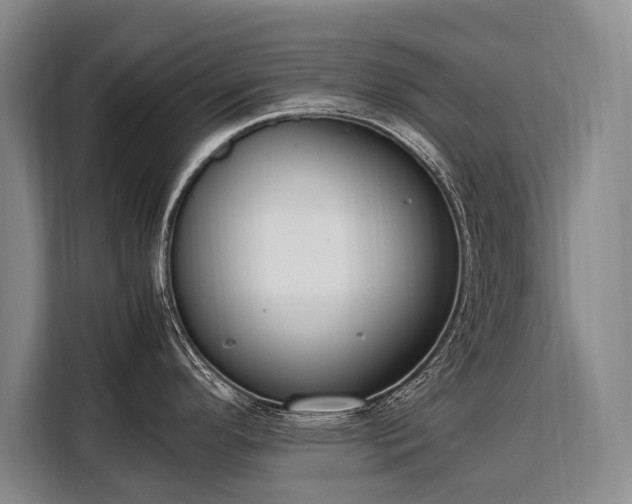 X0000108481296200904091430