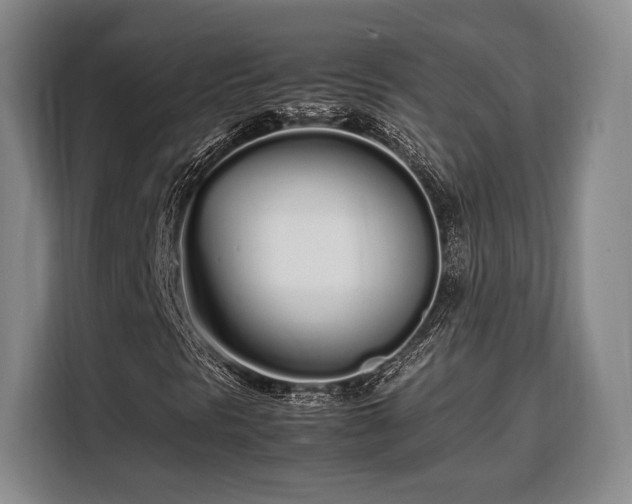 X0000108481297200904091429