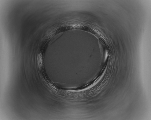 X0000108481298200904091429