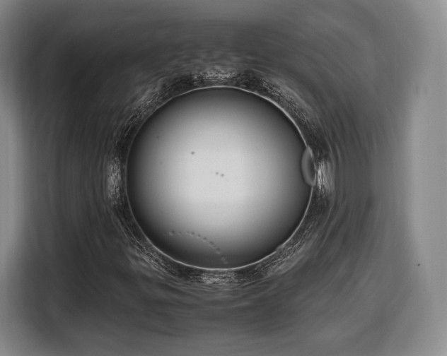 X0000108481299200904091429