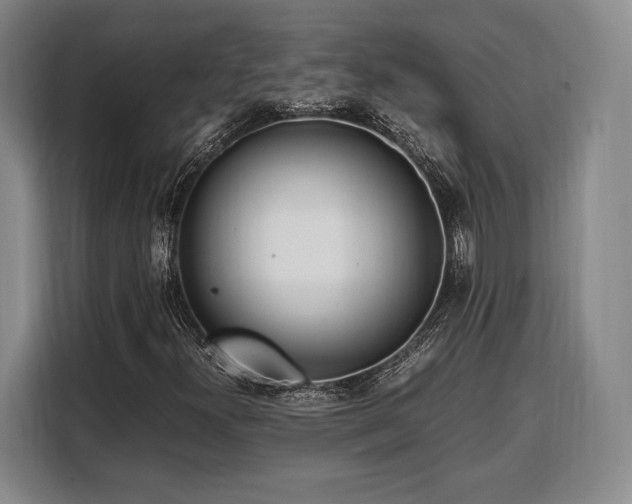 X0000108481300200904091429