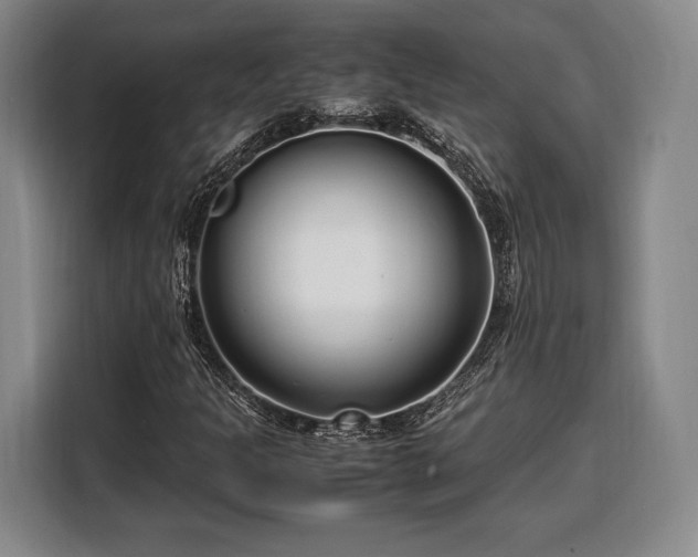 X0000108481301200904091429