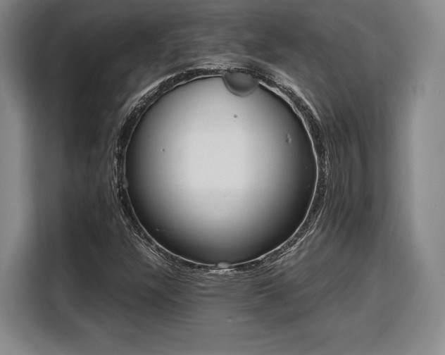 X0000108481304200904091429