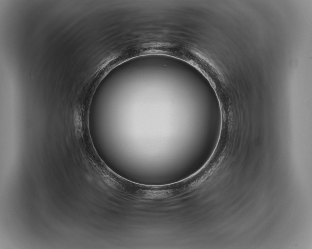 X0000108481305200904091429