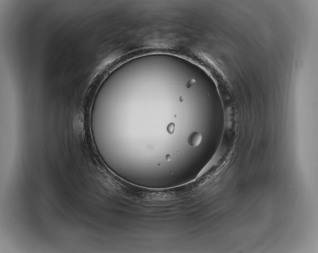 X0000108481307200904091429
