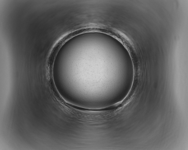 X0000108481310200904091429