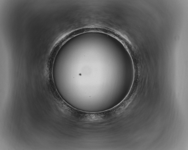 X0000108481311200904091429